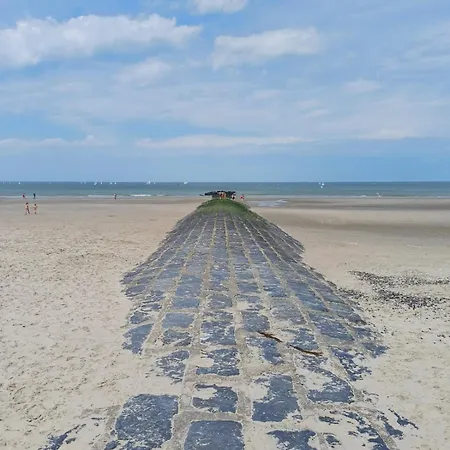 Crevette Bleu Appartement *