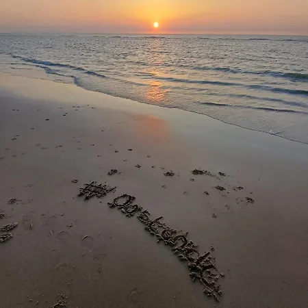 Crevette Bleu Appartement
