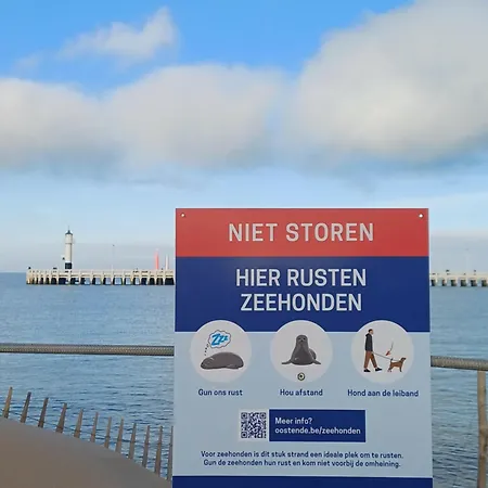 Crevette Bleu Διαμέρισμα Οστένδη