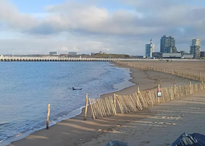 Crevette Bleu * Ostende